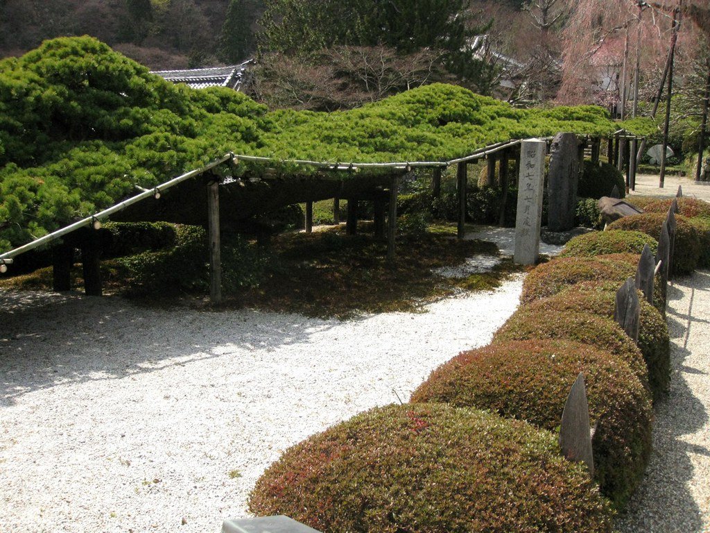 🏯 니시야마 요시미네데라 이미지 6